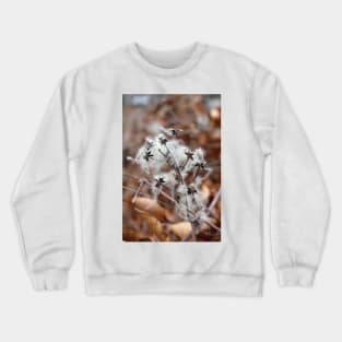 Old man's beard Crewneck Sweatshirt